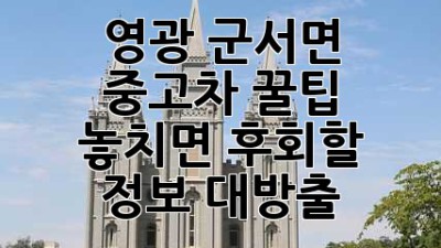 영광 군서면 중고차 꿀팁🍯: 놓치면 후회할 정보 대방출!