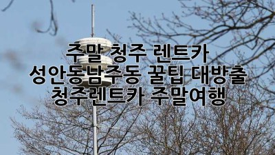 주말 청주 렌트카🚗 성안동·남주동 꿀팁 대방출! #청주렌트카 #주말여행